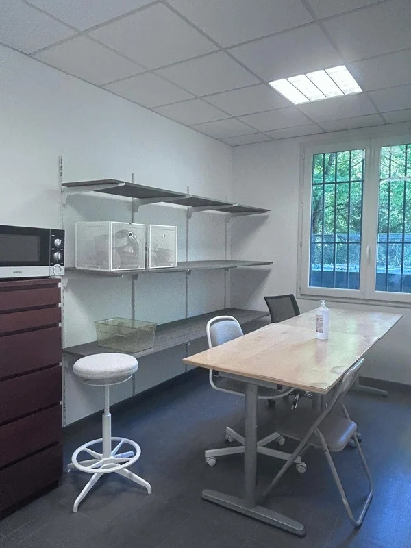 Salle des martinets