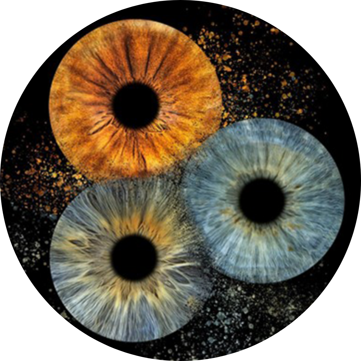 Séance photo iris You & Eye Photo