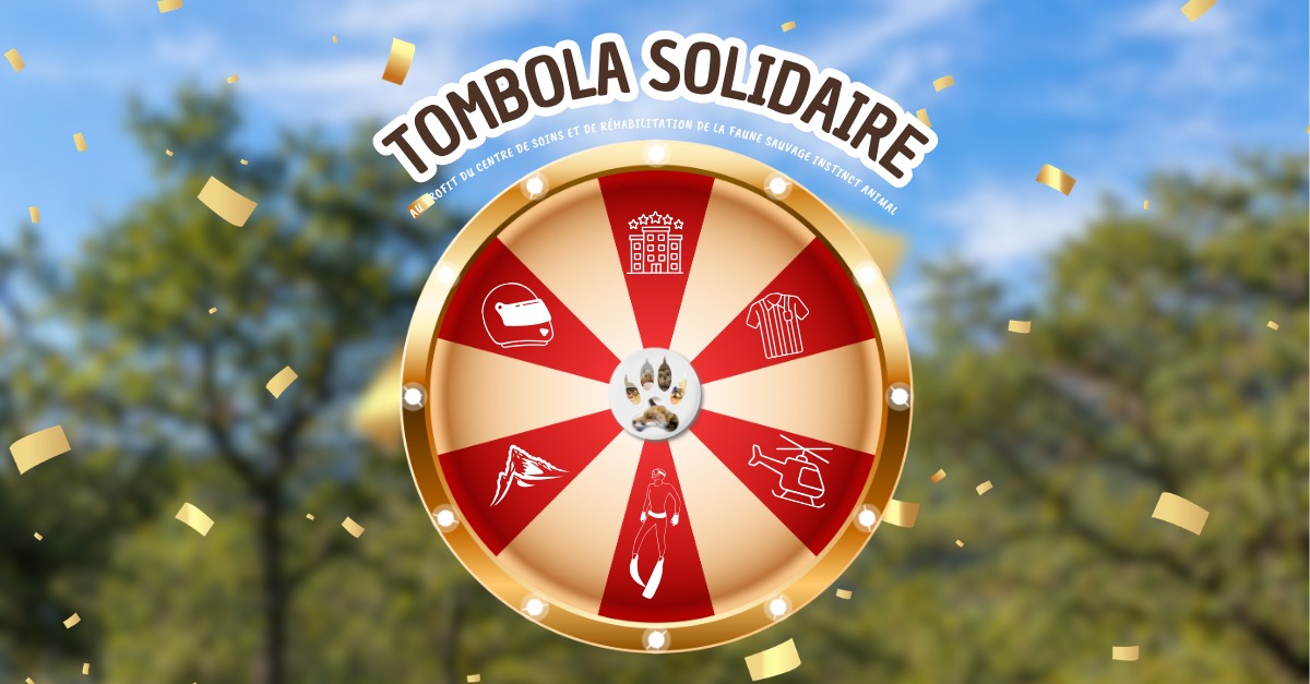 Tombola Solidaire – Instinct AniMal